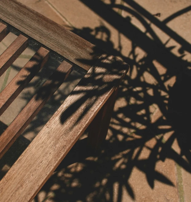 this is a shadow of some plants in the chair