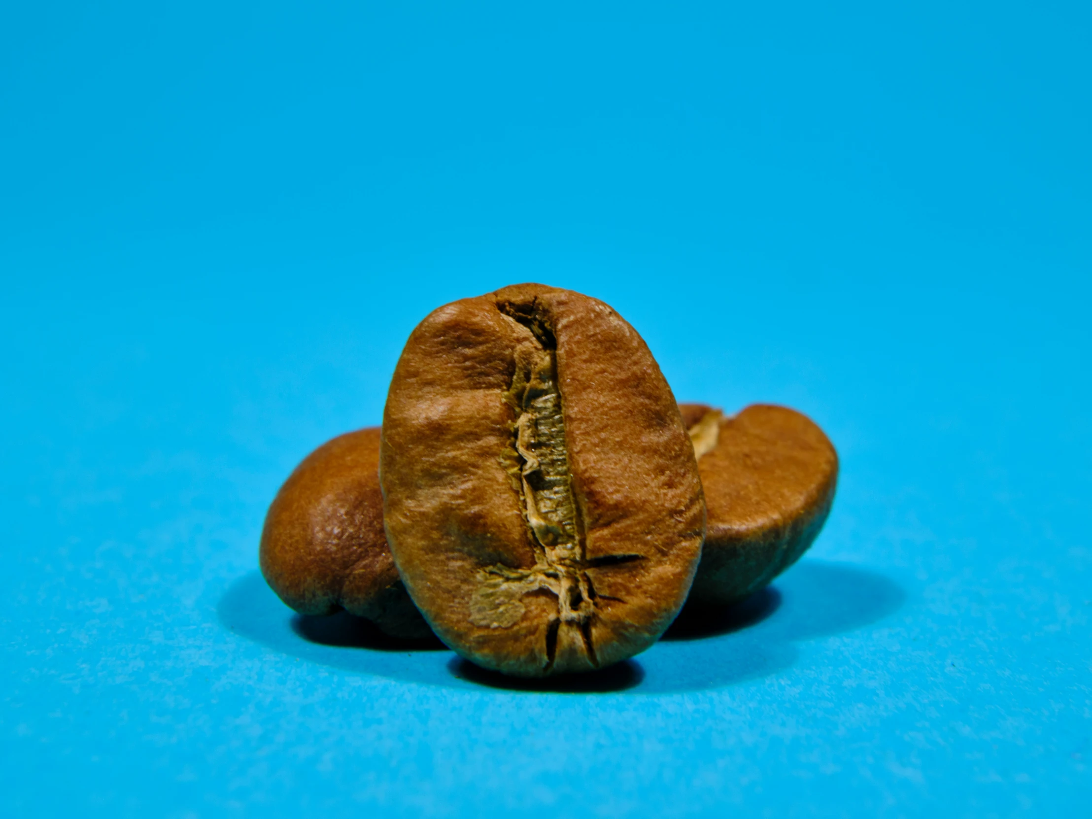 the whole and peeled almond on the blue surface