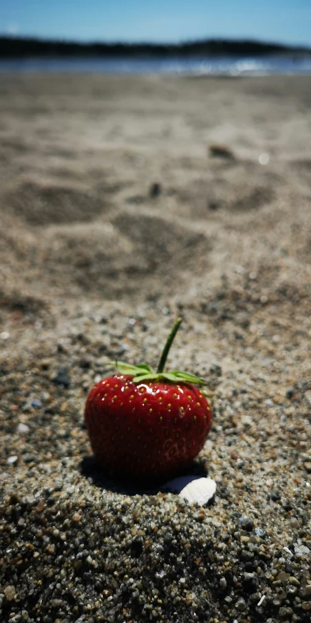 a single piece of strawberries sitting on the beach