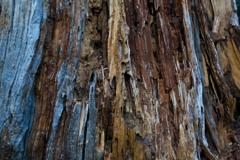 several large pieces of wood stacked together