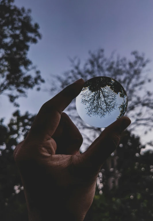 person holding up a small glass ball with trees in it