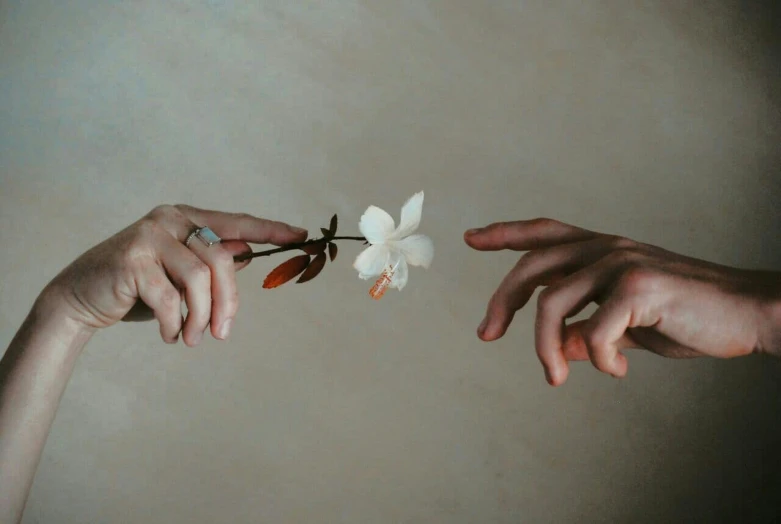 two people holding a white flower that they just held