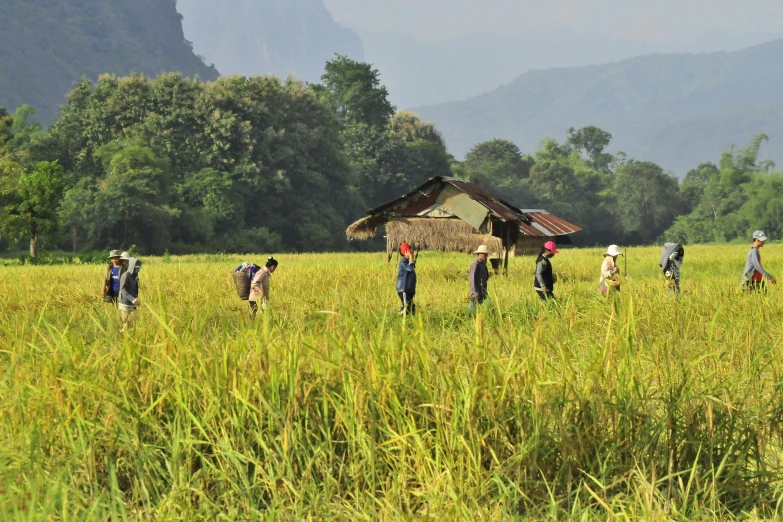 a group of people on a field carrying a raft