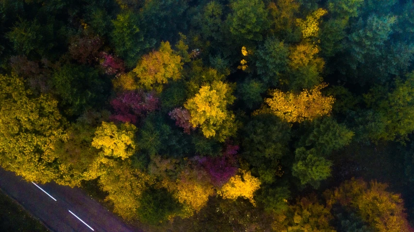 an aerial po of the side of a highway surrounded by autumn colors