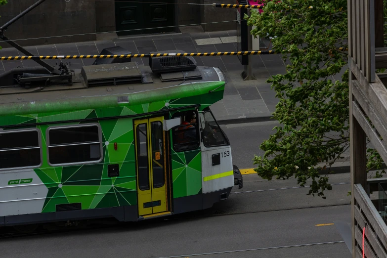 a green bus driving on the road beside a tree