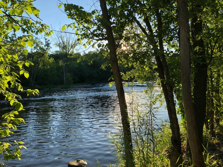 a large body of water in the middle of trees