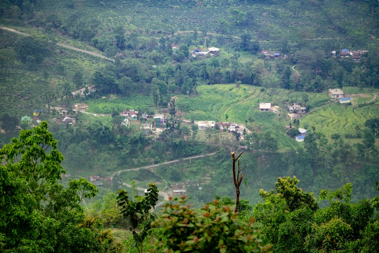 the landscape is green and full of trees