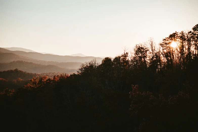 the mountain is near many trees that are in the shadow