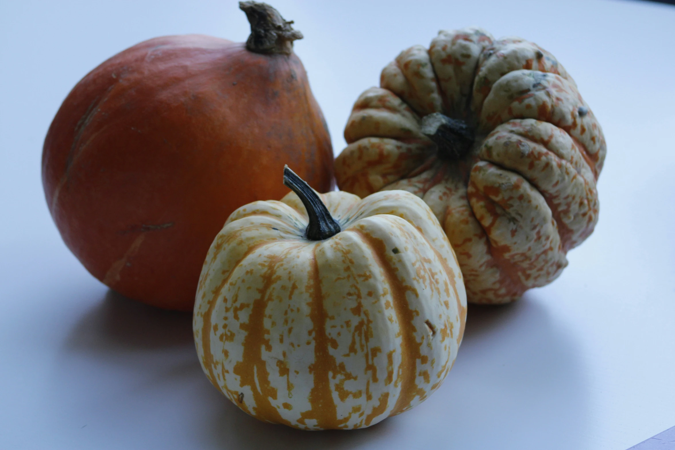 three pieces of artichokes and an orange are shown