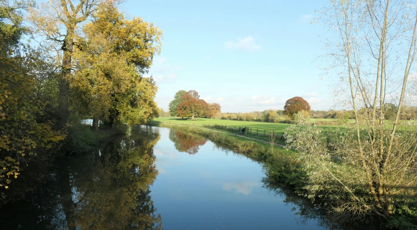 the pond has several trees in the area