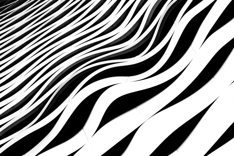 a black and white abstract art painting