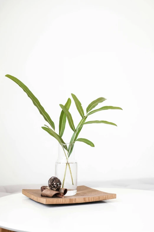 a white vase holding a small plant with an unfurnished brown decoration