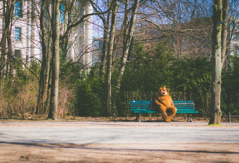 a bear jumps on his hind legs in the park