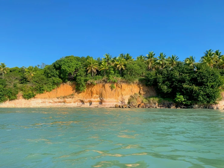 a small island with a jungle at the end of it