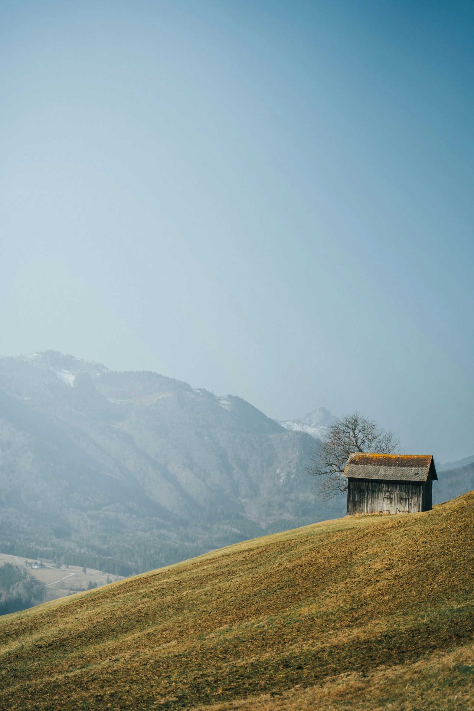 a barn on a mountain top that has a small tree in the middle