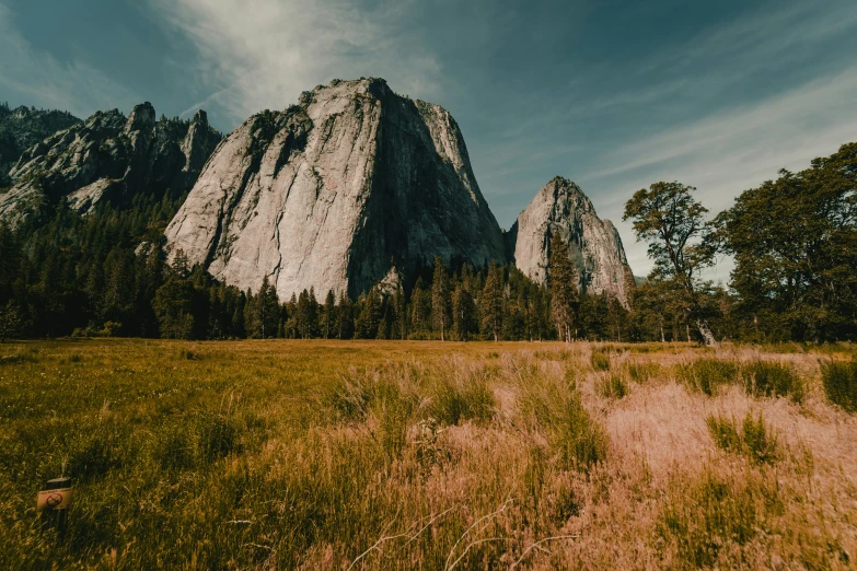 the grass in front of the mountain is very sp