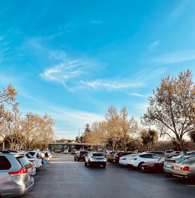 a line of cars are parked in the parking lot