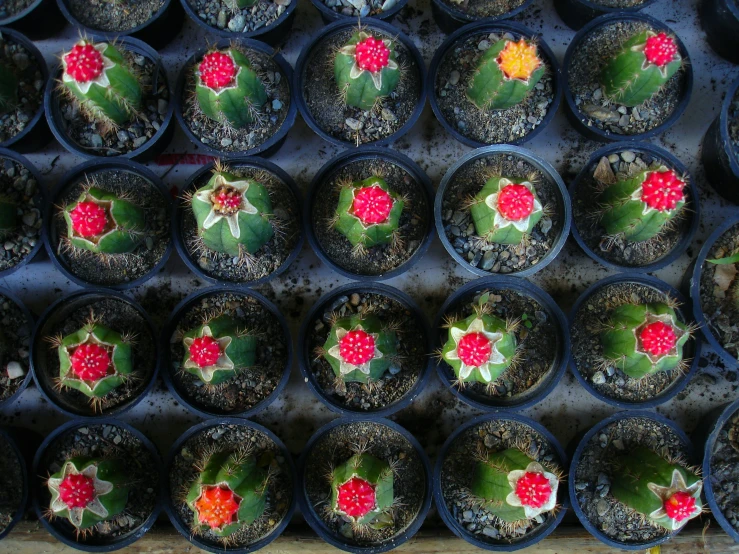 colorful pots sitting on top of each other