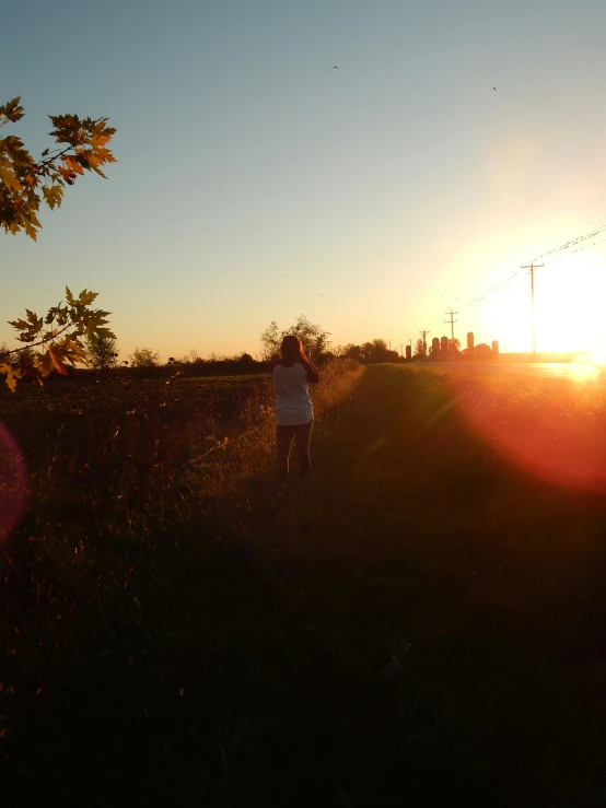 a person standing in a field with a kite