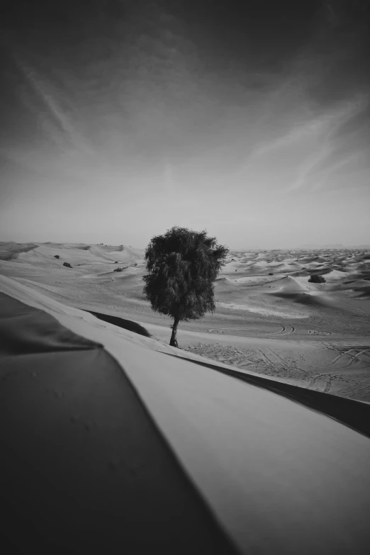 a black and white po of the desert