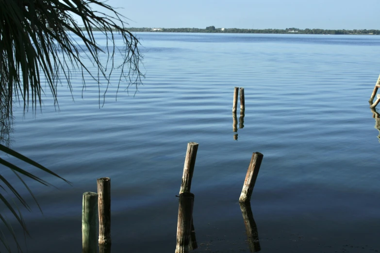 some wooden posts floating in the water near some poles