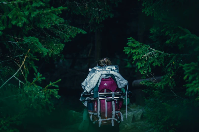 a person is riding on a cart through the forest