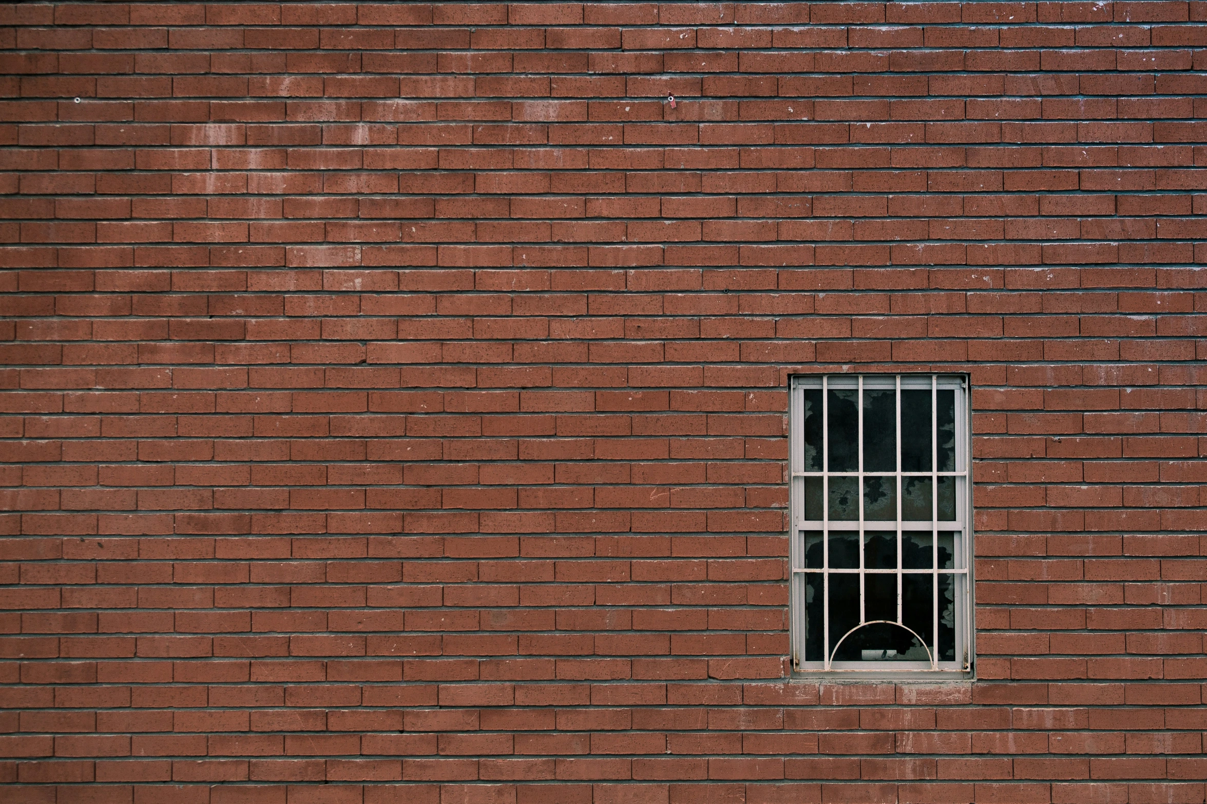 the image shows a dog looking out the open window