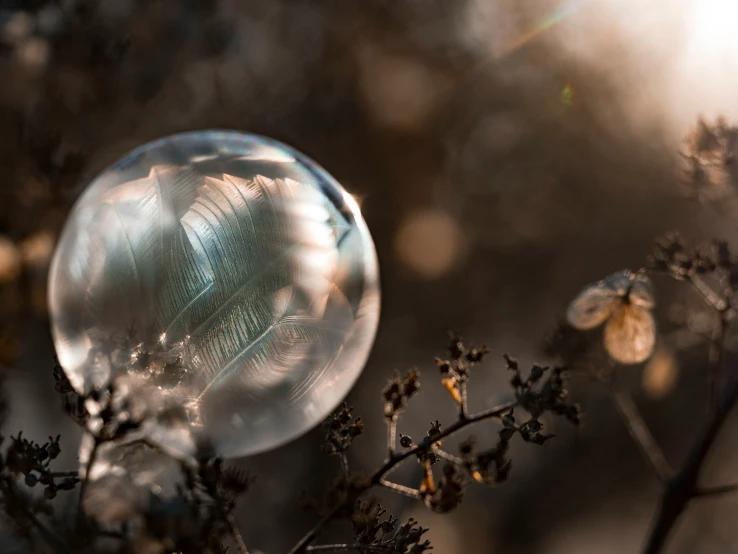 a very close up picture of a bubble