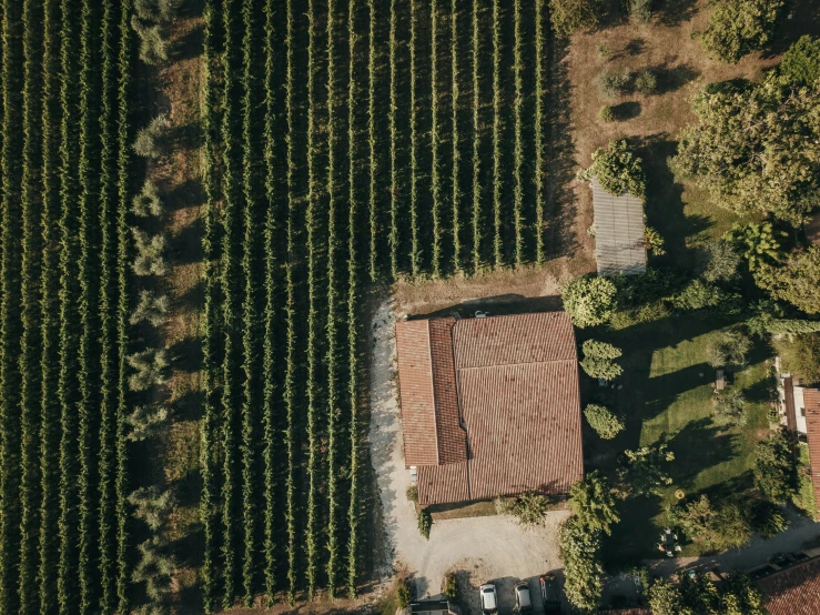 a house sitting on top of a field next to trees