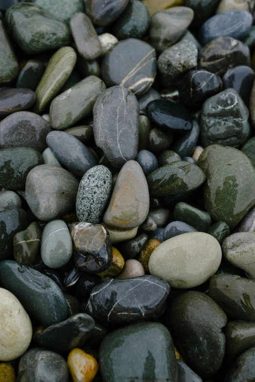 a rock garden with many small rocks and grass growing on top