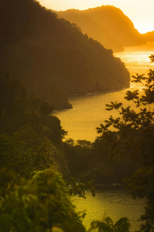 water surrounded by a forest near a cliff