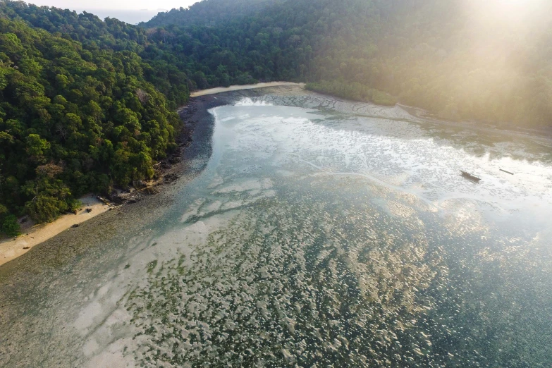 the water is full of small patches of bubbles