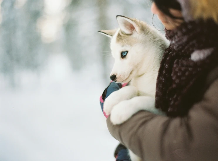 a woman holds a dog in her arms