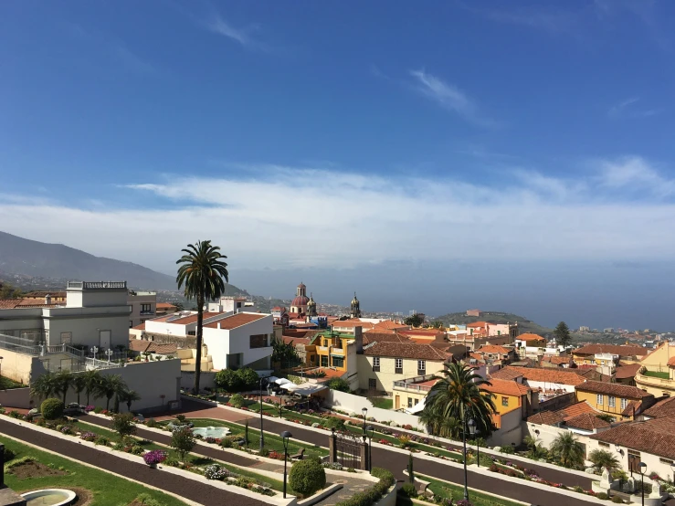 a town with mountains in the background and a palm tree on the other side of the street