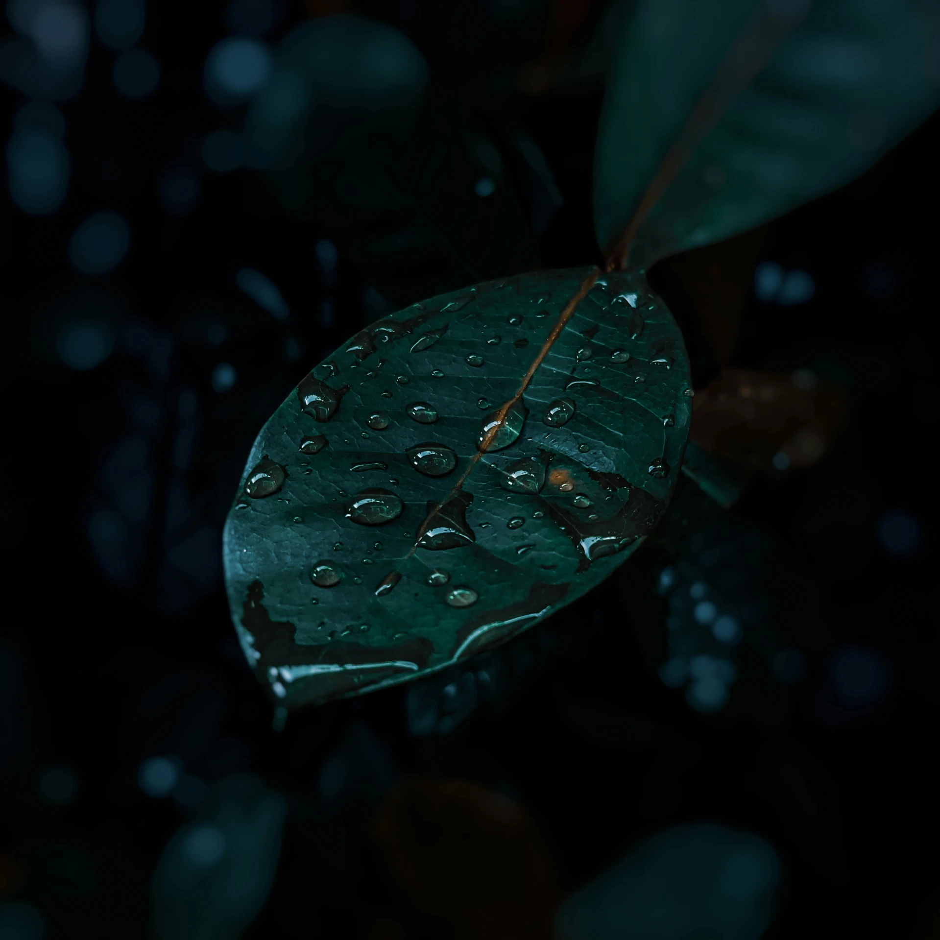 an umbrella is attached to a leaf with drops