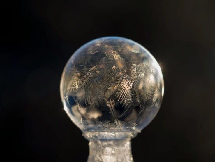 a close - up of a snowball with many small leaves in it