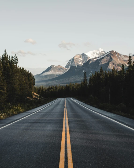 a long empty road leading through a forest