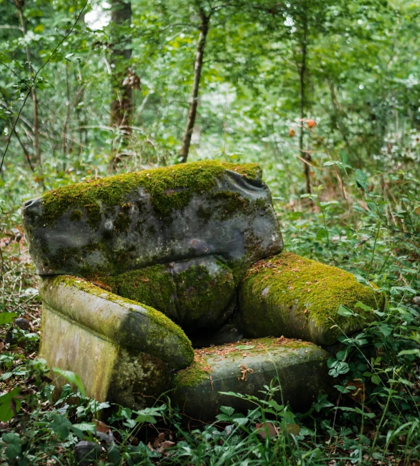 there are mossy seats in the woods