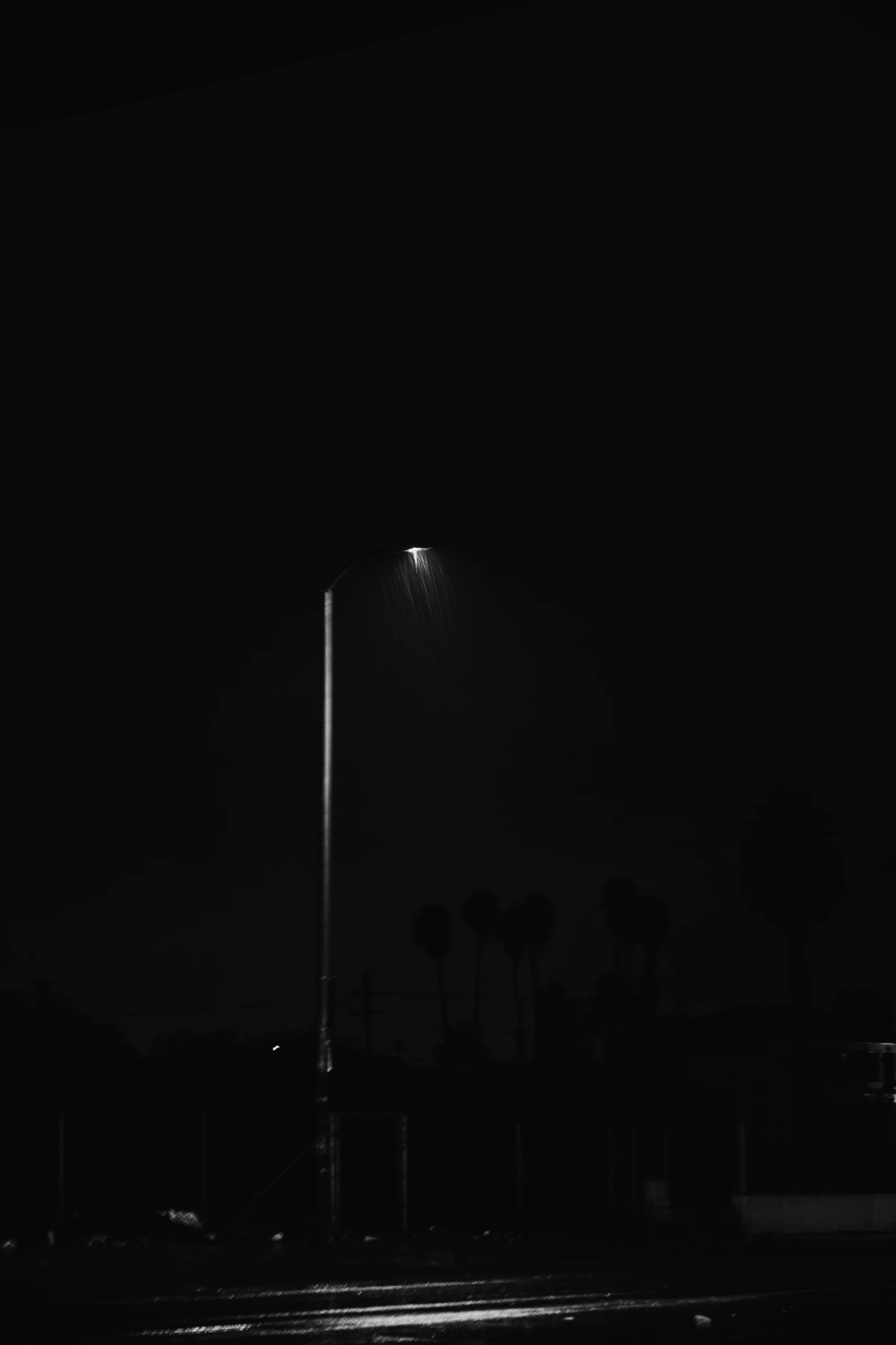 the street light is up with the palm trees in the background