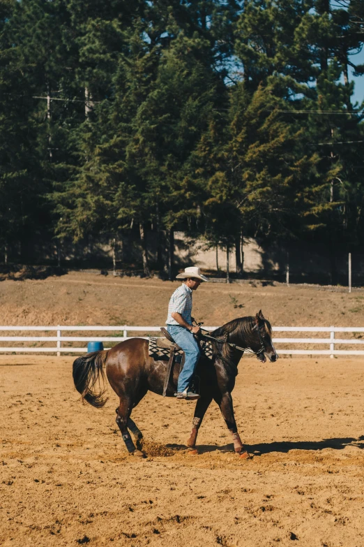 a cowboy is riding a horse in an arena