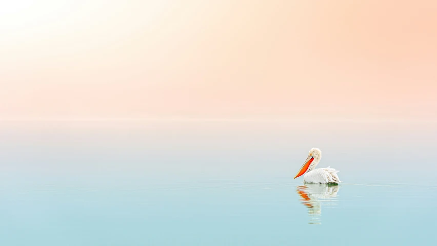 a small white boat floating on top of a body of water