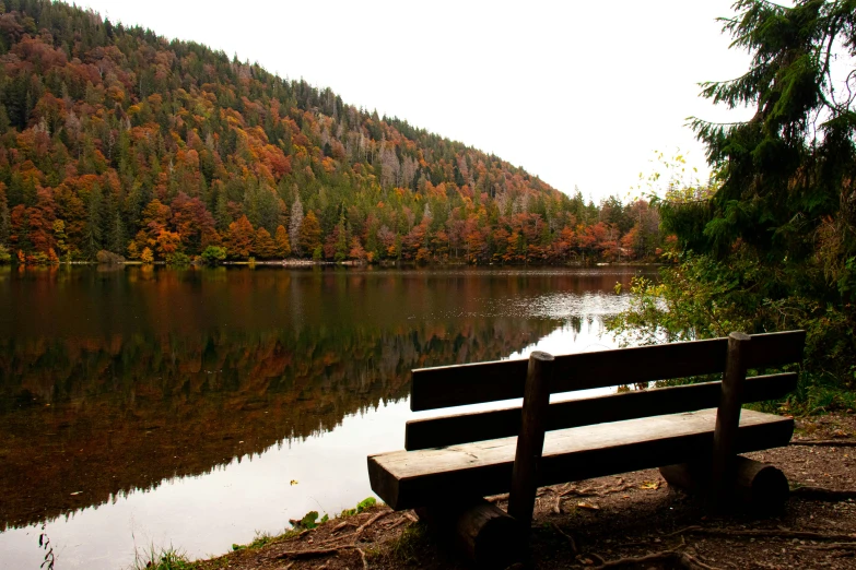 an empty bench on a lake overlooking trees with fall colors in the background