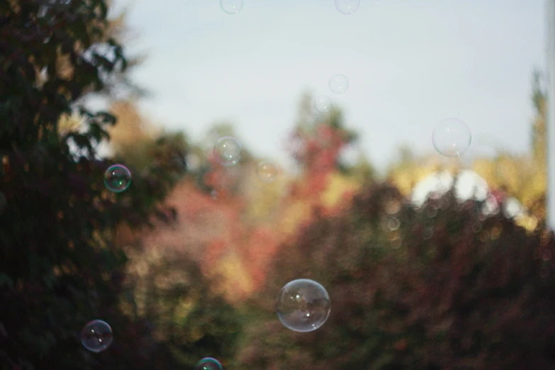 bubbles are floating in the air near some trees