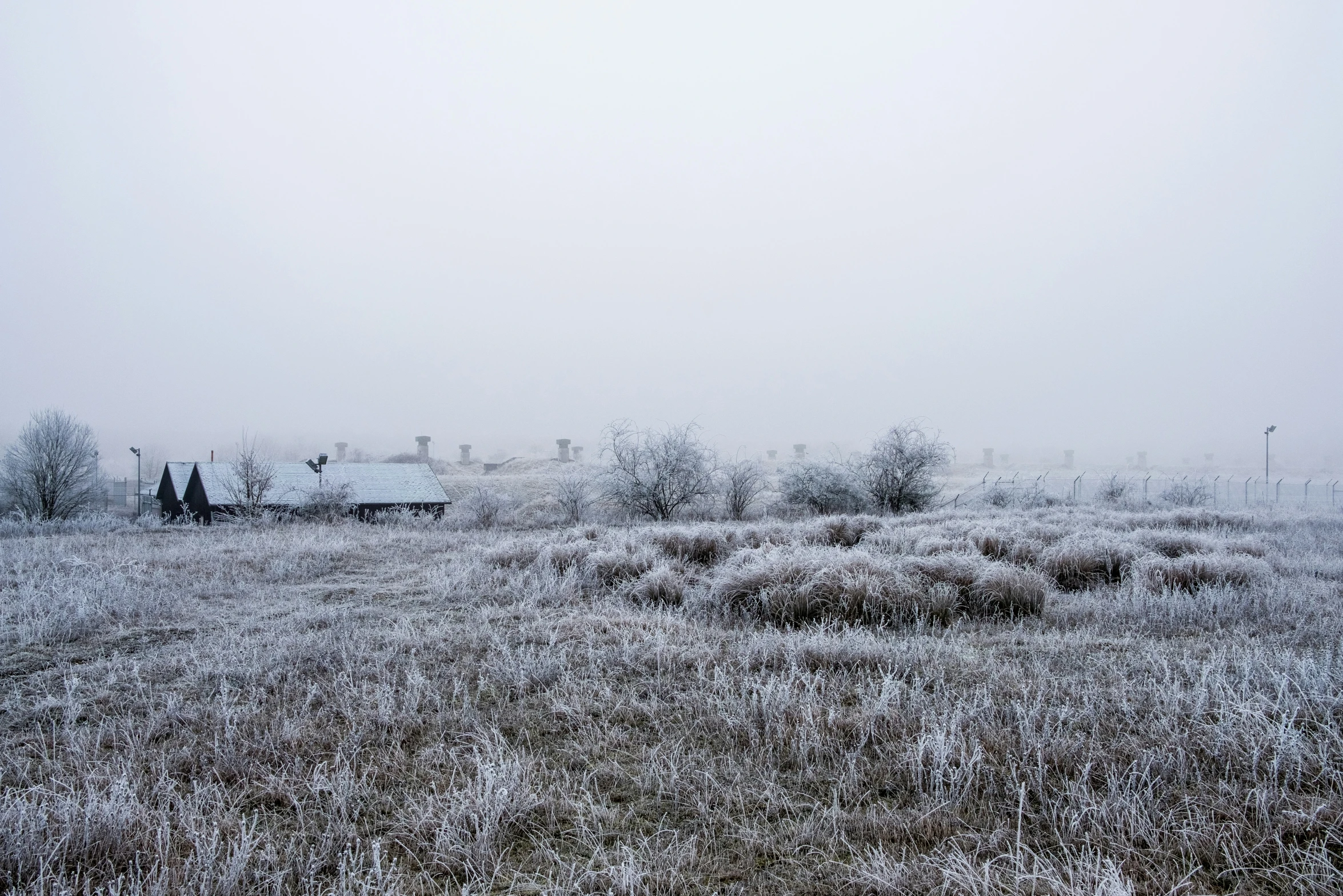 the house is covered with snow next to the meadow