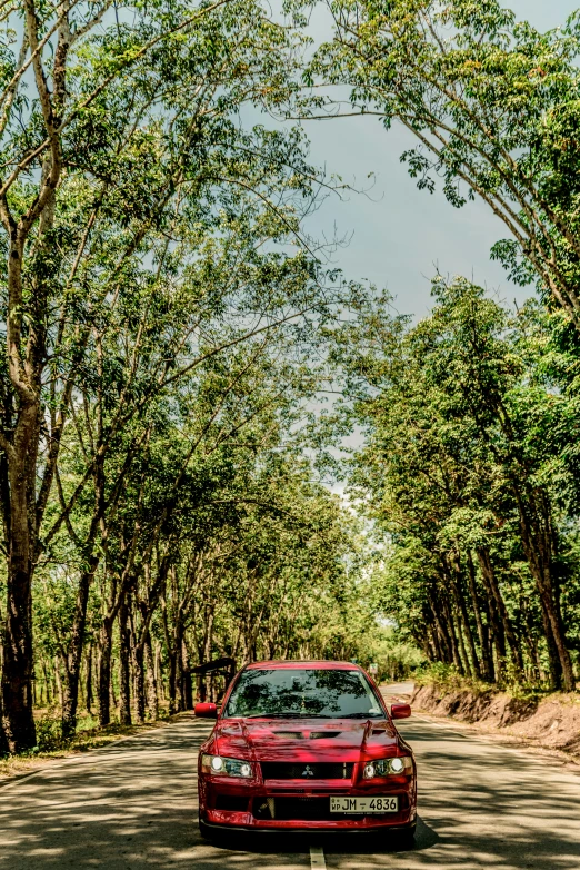 a car parked in a road lined with trees