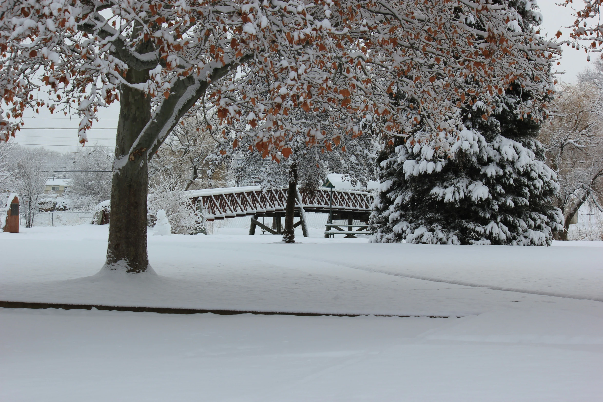 a bridge over water surrounded by a forest covered in snow