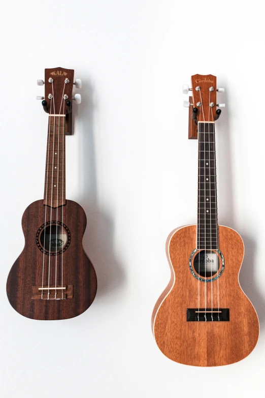 a pair of wooden ukuleles, one is made from wooden, one is mahogany