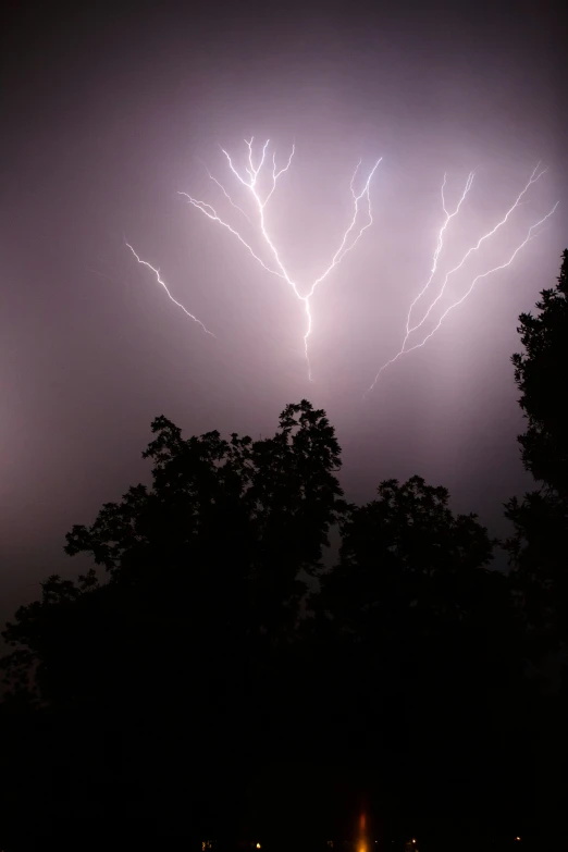 two lightning strikes over some trees in the night sky