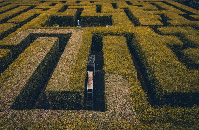 a very big big nice and cute grass maze
