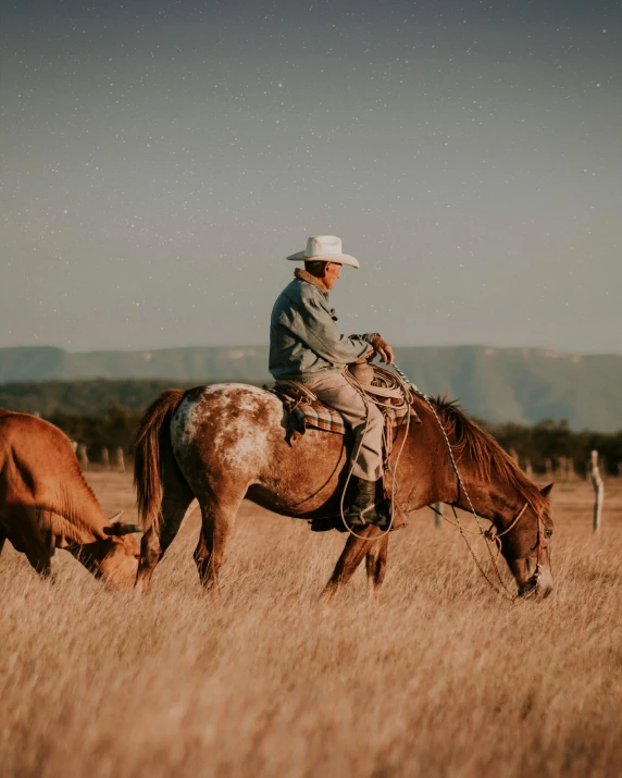 a man on horseback is grazing in an open field